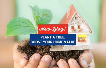 Plant a Tree, Boost Your Home Value | Slocum Home Team